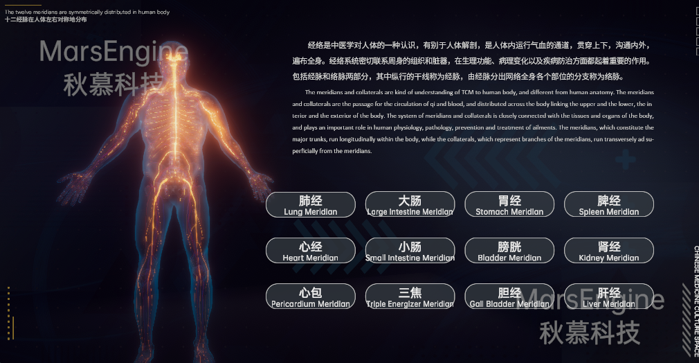 智慧中医展示系统